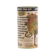 Load image into Gallery viewer, Tulip Poplar | Seed Grow Kit | The Jonsteen Company