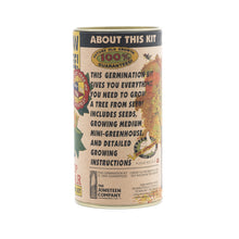 Load image into Gallery viewer, Tulip Poplar | Seed Grow Kit | The Jonsteen Company