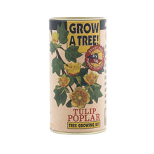 Load image into Gallery viewer, Tulip Poplar | Seed Grow Kit | The Jonsteen Company