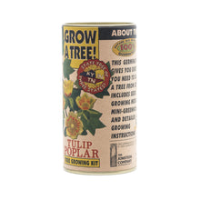 Load image into Gallery viewer, Tulip Poplar | Seed Grow Kit | The Jonsteen Company