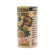 Load image into Gallery viewer, Tulip Poplar | Seed Grow Kit | The Jonsteen Company