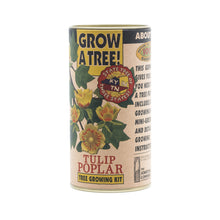 Load image into Gallery viewer, Tulip Poplar | Seed Grow Kit | The Jonsteen Company