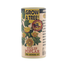 Load image into Gallery viewer, Tulip Poplar | Seed Grow Kit | The Jonsteen Company