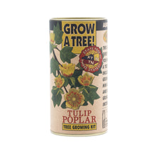 Load image into Gallery viewer, Tulip Poplar | Seed Grow Kit | The Jonsteen Company