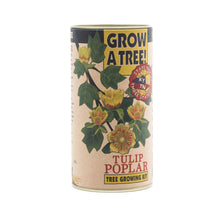 Load image into Gallery viewer, Tulip Poplar | Seed Grow Kit | The Jonsteen Company