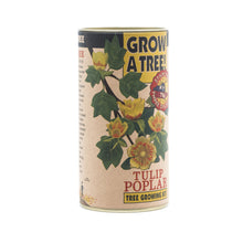 Load image into Gallery viewer, Tulip Poplar | Seed Grow Kit | The Jonsteen Company