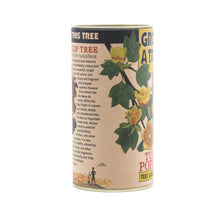 Load image into Gallery viewer, Tulip Poplar | Seed Grow Kit | The Jonsteen Company