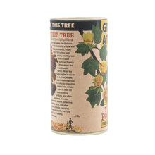 Load image into Gallery viewer, Tulip Poplar | Seed Grow Kit | The Jonsteen Company