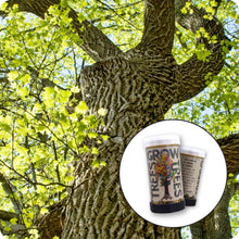 Load image into Gallery viewer, Tulip Poplar | Mini-Grow Kit  | The Jonsteen Company