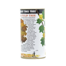 Load image into Gallery viewer, Tulip Poplar | White Design | Seed Grow Kit | The Jonsteen Company