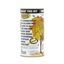 Load image into Gallery viewer, Tulip Poplar | White Design | Seed Grow Kit | The Jonsteen Company