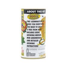 Load image into Gallery viewer, Tulip Poplar | White Design | Seed Grow Kit | The Jonsteen Company