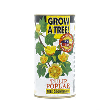 Load image into Gallery viewer, Tulip Poplar | White Design | Seed Grow Kit | The Jonsteen Company