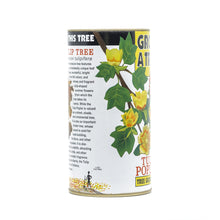 Load image into Gallery viewer, Tulip Poplar | White Design | Seed Grow Kit | The Jonsteen Company