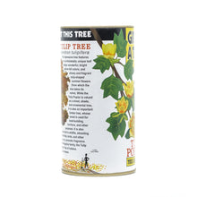 Load image into Gallery viewer, Tulip Poplar | White Design | Seed Grow Kit | The Jonsteen Company