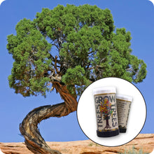 Load image into Gallery viewer, Utah Juniper | Mini-Grow Kit | The Jonsteen Company