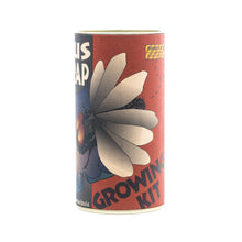 Load image into Gallery viewer, Venus Flytrap | Carnivorous Plant Grow Kit | The Jonsteen Company