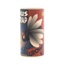 Load image into Gallery viewer, Venus Flytrap | Carnivorous Plant Grow Kit | The Jonsteen Company