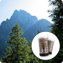 Load image into Gallery viewer, Western Hemlock | Mini-Grow Kit | The Jonsteen Company