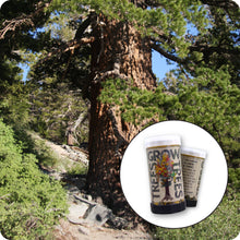 Load image into Gallery viewer, Western White Pine | Mini-Grow Kit | The Jonsteen Company