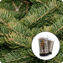 Load image into Gallery viewer, White Fir | Mini-Grow Kit | The Jonsteen Company