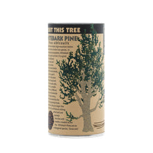 Load image into Gallery viewer, Whitebark Pine | Seed Grow Kit | The Jonsteen Company