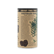 Load image into Gallery viewer, Whitebark Pine | Seed Grow Kit | The Jonsteen Company