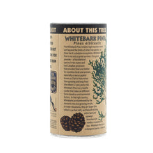 Load image into Gallery viewer, Whitebark Pine | Seed Grow Kit | The Jonsteen Company