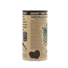 Load image into Gallery viewer, Whitebark Pine | Seed Grow Kit | The Jonsteen Company