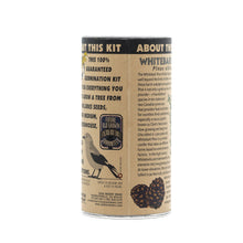 Load image into Gallery viewer, Whitebark Pine | Seed Grow Kit | The Jonsteen Company