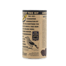 Load image into Gallery viewer, Whitebark Pine | Seed Grow Kit | The Jonsteen Company