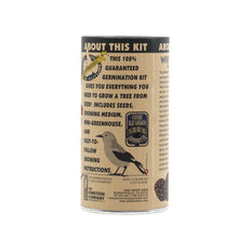 Load image into Gallery viewer, Whitebark Pine | Seed Grow Kit | The Jonsteen Company