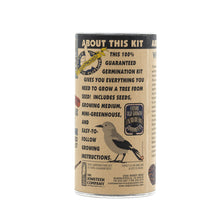Load image into Gallery viewer, Whitebark Pine | Seed Grow Kit | The Jonsteen Company