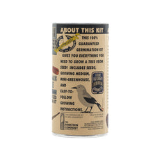 Load image into Gallery viewer, Whitebark Pine | Seed Grow Kit | The Jonsteen Company