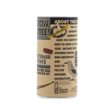 Load image into Gallery viewer, Whitebark Pine | Seed Grow Kit | The Jonsteen Company