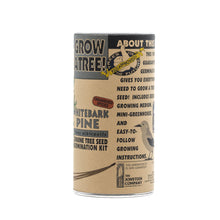 Load image into Gallery viewer, Whitebark Pine | Seed Grow Kit | The Jonsteen Company