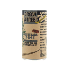 Load image into Gallery viewer, Whitebark Pine | Seed Grow Kit | The Jonsteen Company