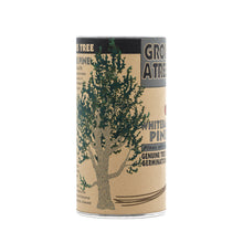 Load image into Gallery viewer, Whitebark Pine | Seed Grow Kit | The Jonsteen Company