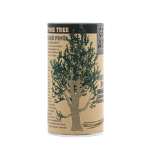Load image into Gallery viewer, Whitebark Pine | Seed Grow Kit | The Jonsteen Company