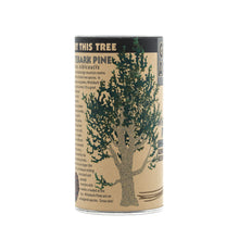 Load image into Gallery viewer, Whitebark Pine | Seed Grow Kit | The Jonsteen Company