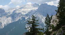 Load image into Gallery viewer, Bosnian Pine | The Jonsteen Company