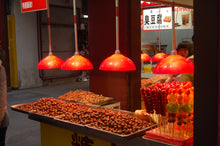 Load image into Gallery viewer, Chinese Chestnut | Medium Tree Seedling | The Jonsteen Company