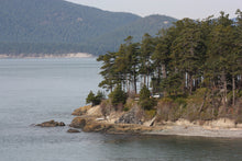 Load image into Gallery viewer, Douglas-fir | The Jonsteen Company