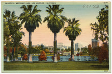 Load image into Gallery viewer, Mexican Fan Palm | Mini-Grow Kit | The Jonsteen Company