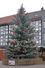 Load image into Gallery viewer, Noble Fir | The Jonsteen Company