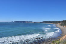 Load image into Gallery viewer, Port Orford Cedar | Mini-Grow Kit | The Jonsteen Company