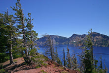 Load image into Gallery viewer, Western White Pine | The Jonsteen Company