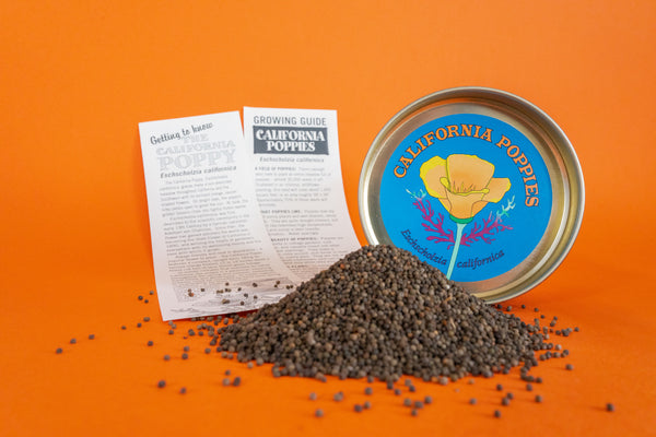 California Poppy | Flower Seed Grow Kit | The Jonsteen Company