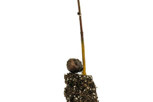 Load image into Gallery viewer, Chinese Chestnut | Medium Tree Seedling | The Jonsteen Company