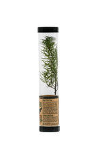 Load image into Gallery viewer, Douglas-Fir | Packaged Live Tree